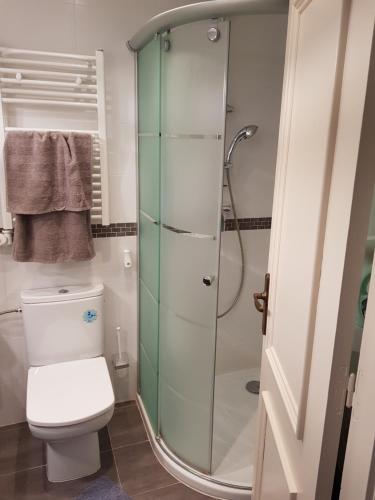 een badkamer met een toilet en een glazen douche bij Appartement Sant Antoni in Sant Antoni de Calonge