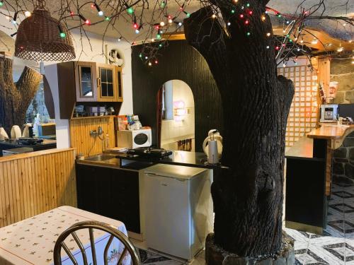 a kitchen with a tree with christmas lights at Penzión Alex in Veľká Lomnica