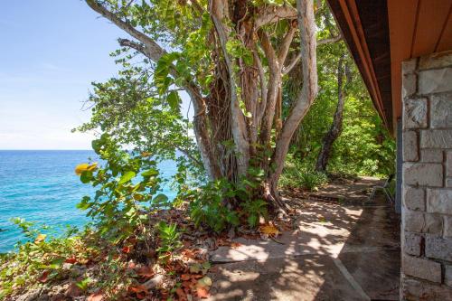 a tree on the side of a building next to the ocean at Frenchman's Cove Resort in Port Antonio