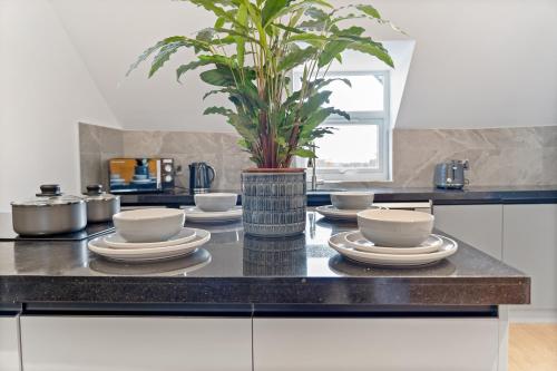 a kitchen counter with plates and a potted plant at High Standard City Center Leicester in Leicester