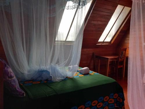 ein Schlafzimmer mit einem Bett mit einem Vorhang und einem Fenster in der Unterkunft Mionga in Santa Cruz