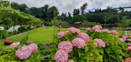 Taman di luar Quinta Moinho do Monte