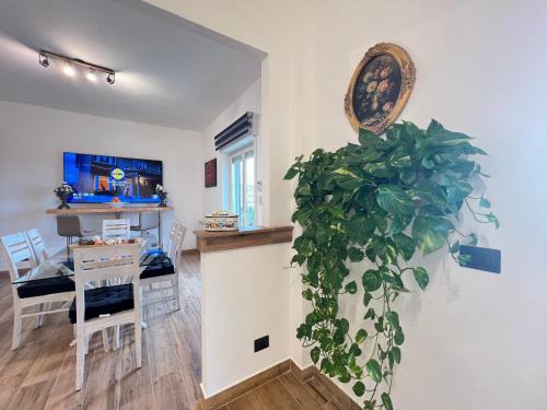 a living room and dining room with a plant on the wall at Carrubba's luxury home in San Giovanni la Punta