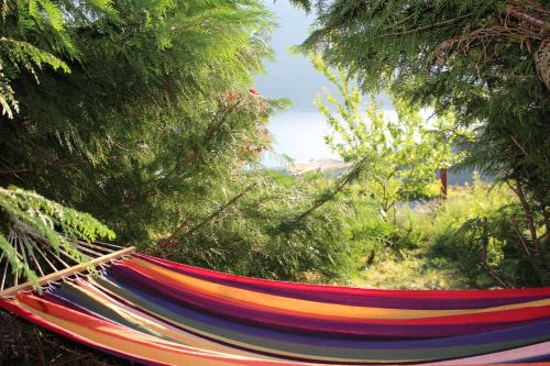 eine bunte Hängematte in einem Garten mit Bäumen in der Unterkunft Casa do Castanheiro in Outeiro