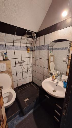 y baño con ducha, lavabo y aseo. en Sárkány Lak Budapestnél, en Budapest