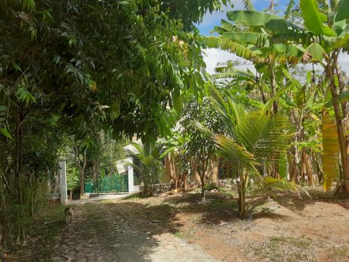 Casa com piscina em Guaramiranga - Chalé Verdelândia