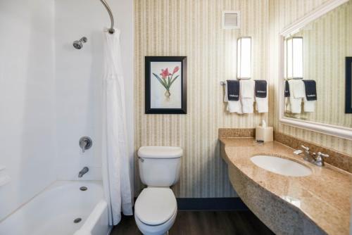 a bathroom with a toilet and a sink and a tub at Shutters Hotel in Elko