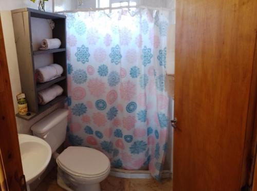 y baño con aseo y cortina de ducha. en Mana en San Martín de los Andes