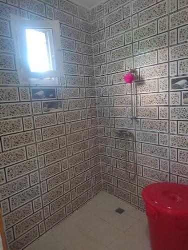 a bathroom with a shower with a tile wall at Le Jasmin Mamoudzou in Mamoudzou