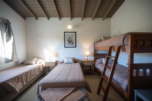 Zimmer mit 2 Etagenbetten und 2 Lampen in der Unterkunft La Posta de los Toldos in Perito Moreno