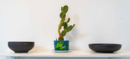 Galeriebild der Unterkunft My place in paradise in San Cristobal