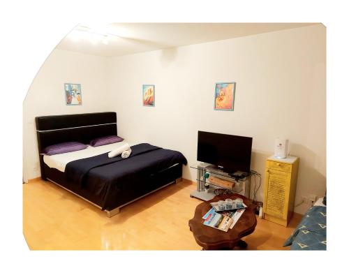 - une chambre avec un lit et une télévision à écran plat dans l'établissement Ruhiges 2 Zimmer Apartment in Bern Zentrum, à Berne