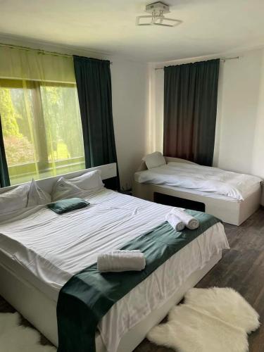 two beds in a room with two windows at Casa Nicholas in Zărneşti