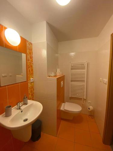 uma casa de banho com um lavatório e um WC em Lipno Klidné centrum em Lipno nad Vltavou