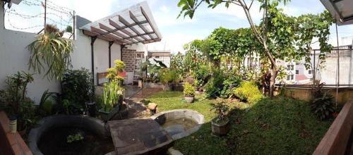 a backyard with a garden with trees and plants at NeoMoritz Homestay in Bandung