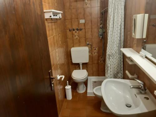 a bathroom with a toilet and a sink at Garden alle barche - Cinzia 5 in Calceranica al Lago