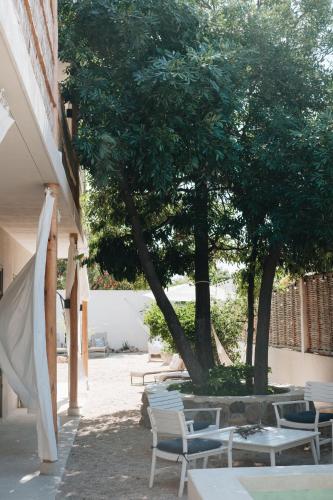 a group of chairs and tables under a tree at The Mantarraya Outpost in La Paz