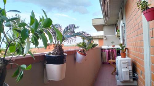 - un balcon avec des plantes en pot dans un bâtiment dans l'établissement Bikefriendly 70 via degli Dei, à San Piero a Sieve