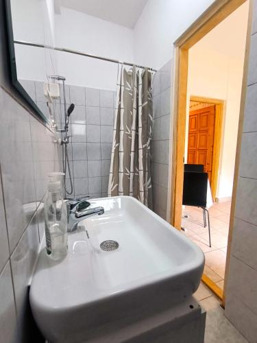 a bathroom with a white sink and a mirror at Caesar Residence in Budapest