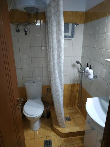 uma cortina de chuveiro na casa de banho com WC em Μοντέρνο Studio στο Κέντρο της Λάρισας em Larisa