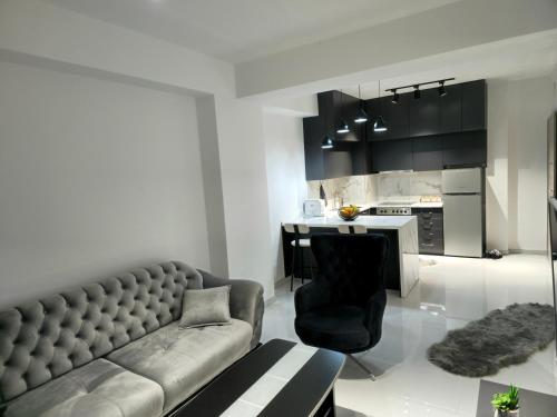 salon z kanapą i kuchnią w obiekcie Damast Lux apartments 20 w Ochrydzie