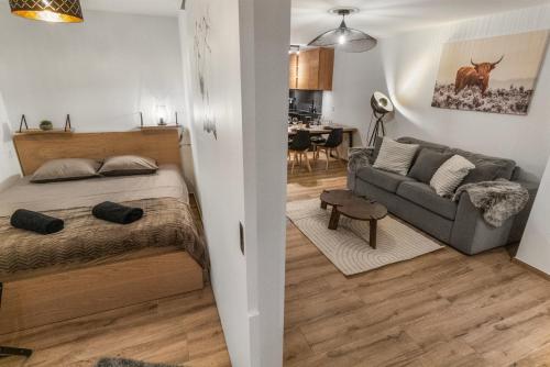a bedroom and living room with a bed and a couch at Appartement rénové avec vue panoramique et sauna in Saas-Fee