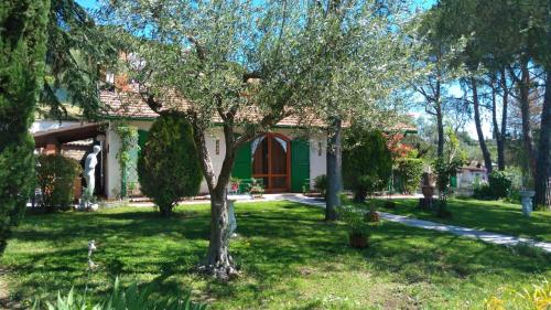 Κήπος έξω από το I Pini House