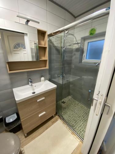 a bathroom with a shower and a sink at Le cosy in Labarde