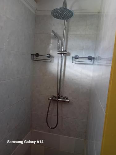 y baño con ducha con cabezal de ducha. en gîte La Cannaie en Port-Louis