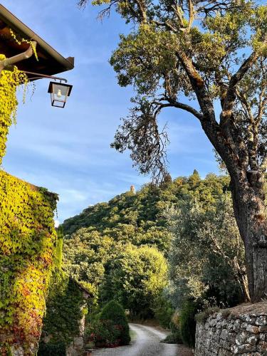 Φυσικό τοπίο κοντά σε αυτό το bed & breakfast