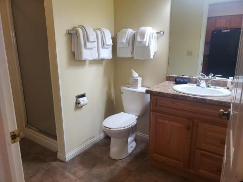 a bathroom with a toilet and a sink and a mirror at Tamarack Wisconsin Dells, a Ramada by Wyndham in Wisconsin Dells