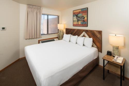 a hotel room with a large bed and a window at Timber Ridge Lodge and Waterpark in Lake Geneva
