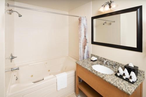 a bathroom with a sink and a tub and a mirror at Timber Ridge Lodge and Waterpark in Lake Geneva