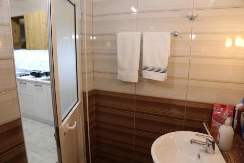 La salle de bains est pourvue d'un lavabo et d'une douche. dans l'établissement Modern Marvel Apartment, à Krujë