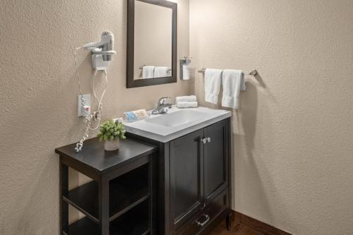 een badkamer met een wastafel en een spiegel bij Buck Meadows Lodge in Groveland
