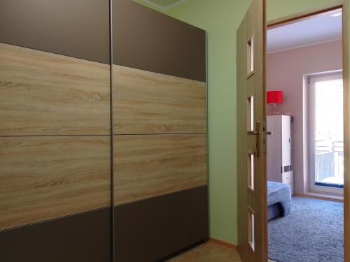 a room with a closet with a wooden door at Apartament Alias in Wisła