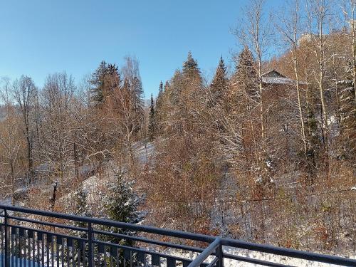 a snow covered hill with a fence and trees at Apartament Alias in Wisła