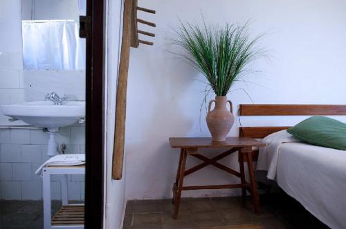 a bathroom with a sink and a vase with a plant on a table at Mas Illa de Riu - Auténtica Masía del Delta del Ebro con capacidad para 20 personas - Deltavacaciones in Sant Jaume d'Enveja