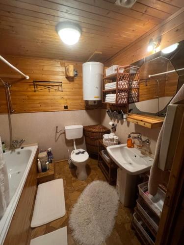 a small bathroom with a toilet and a sink at Patysiówka in Stronie Śląskie