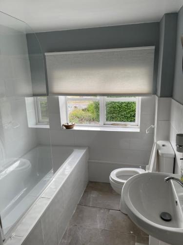 een badkamer met een wastafel, een toilet en een raam bij The Green Dragon in Bishops Frome