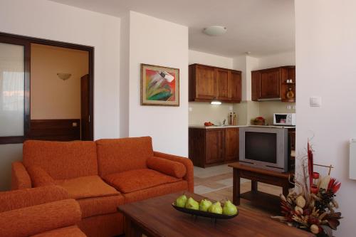 a living room with a couch and a tv at Aparthotel Winslow Highland in Bansko