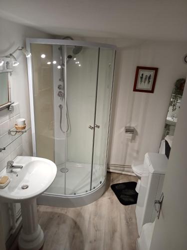 une salle de bain avec douche et lavabo dans l'établissement les trois grandes portes, à Doué-la-Fontaine