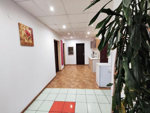 un couloir avec une plante au milieu d'une pièce dans l'établissement Casa Thomas Cluj, à Cluj-Napoca