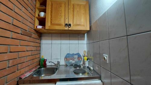Køkken eller tekøkken på Apartments Hamidović