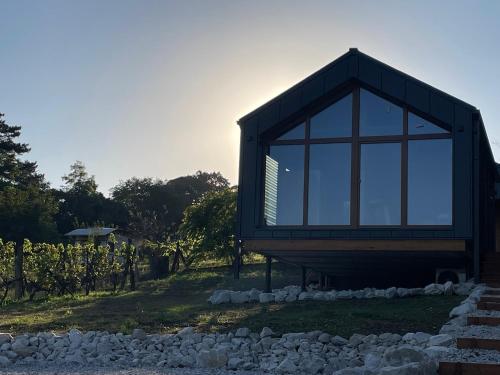 a glass house in a vineyard next to a fence at Pelsonius Vendégház in Cserszegtomaj