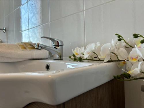 Φωτογραφία από το άλμπουμ του Residence Summer Dream σε Cervia