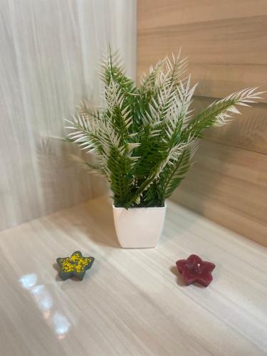 Galería fotográfica de Serene Stay India en Greater Noida