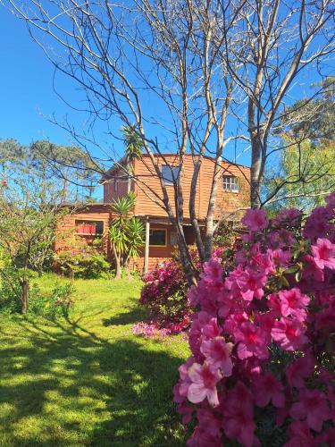 ein Haus mit rosa Blumen im Hof in der Unterkunft Cabaña de Alejandro in La Paloma