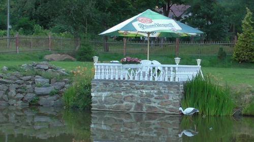 a table and chairs under an umbrella over a pond at Penzion U Bernardýna in Tachov