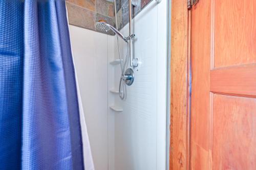 a shower with a blue shower curtain next to a door at Autumnsong Fireside Cabin Near Dtwn Buena Vista! in Buena Vista